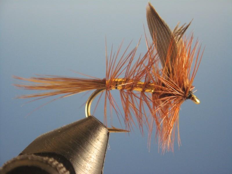 Wickham's Fancy - The Trout Spot