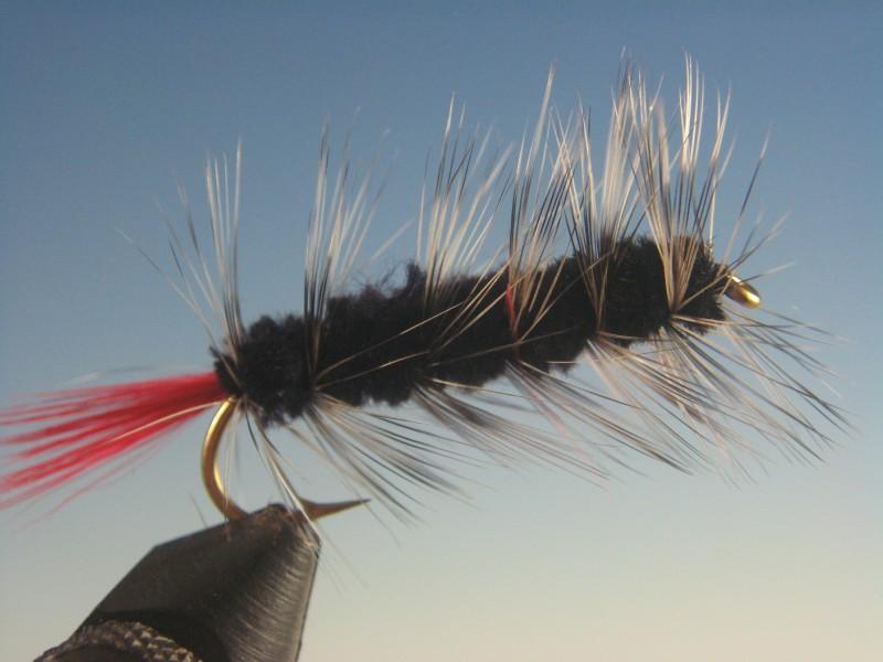 Wooly Worm Black - The Trout Spot