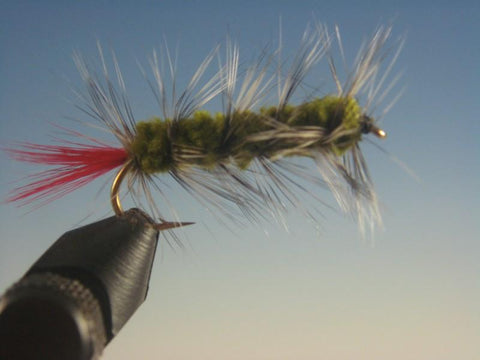 Wooly Worm Olive - The Trout Spot