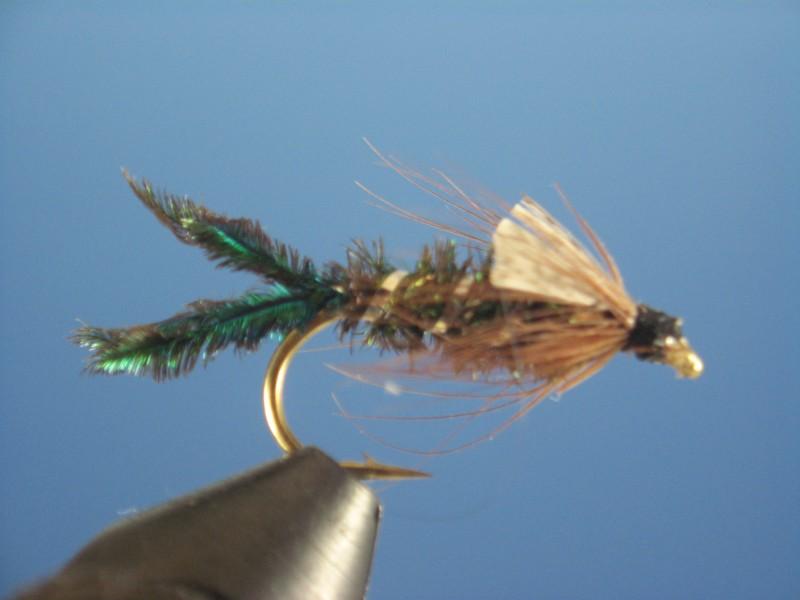 Zug Bug - The Trout Spot